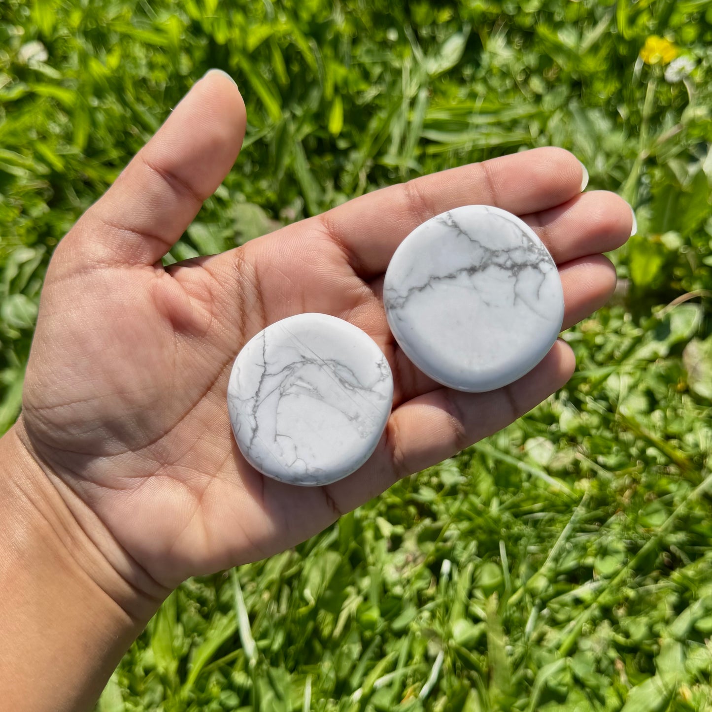 Galet plat en Howlite
