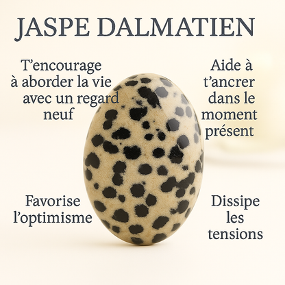 Bracelet en Jaspe Dalmatien 6mm