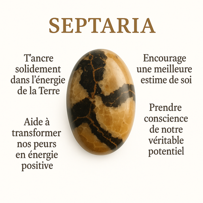 Pendentif en Septaria
