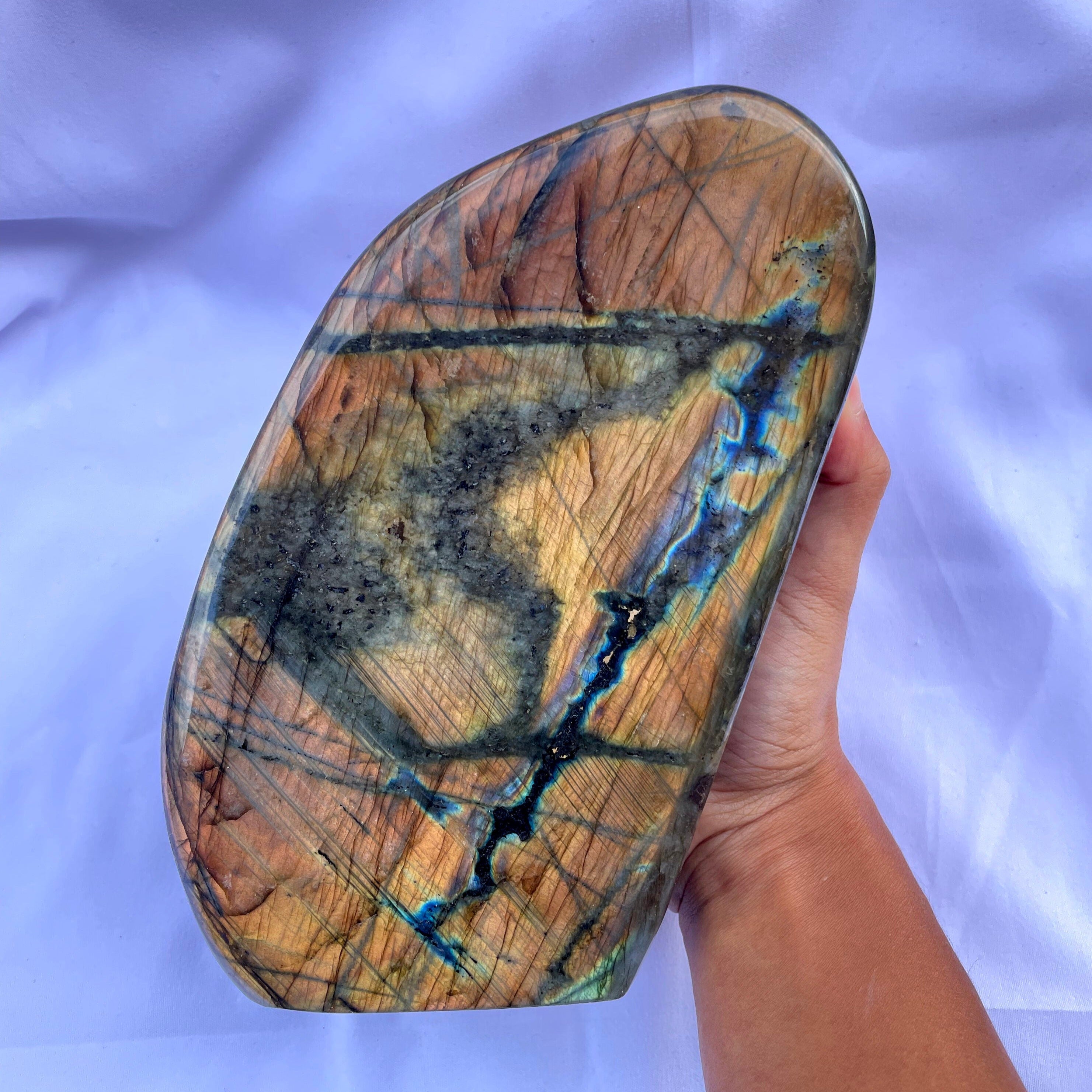 Labradorite - Forme Libre - Métanoïa